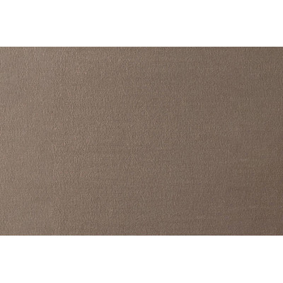 Tête de lit 160 cm Capitonnée - Tissu Velours Taupe